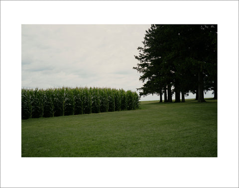 "Field of Dreams, Iowa" by John Saponara
